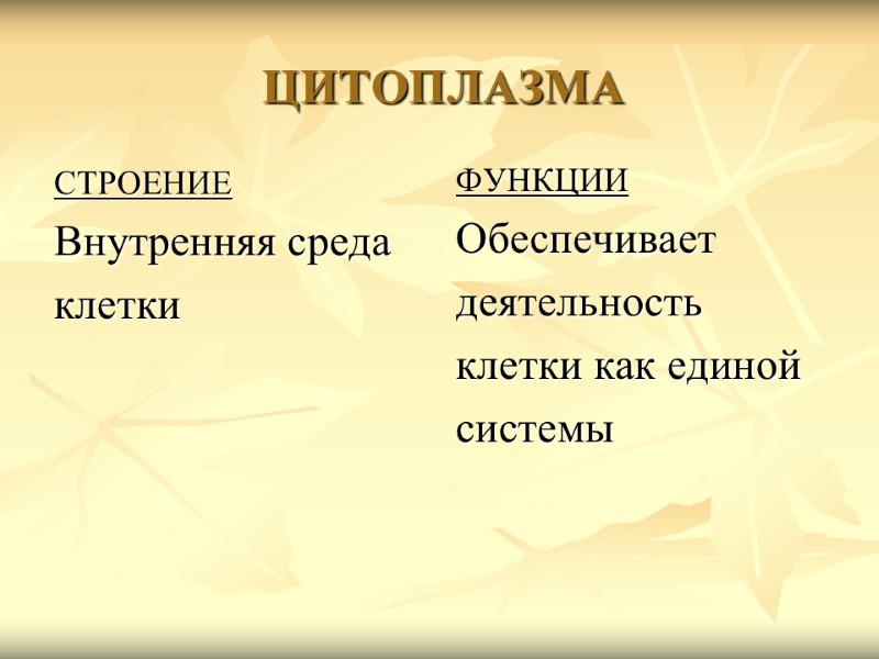 ЦИТОПЛАЗМА СТРОЕНИЕ Внутренняя среда  клетки ФУНКЦИИ Обеспечивает  деятельность  клетки как единой